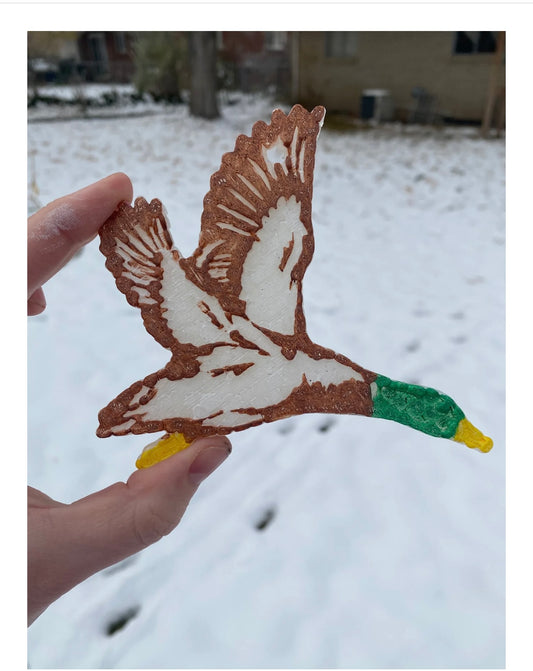 Duck Freshie